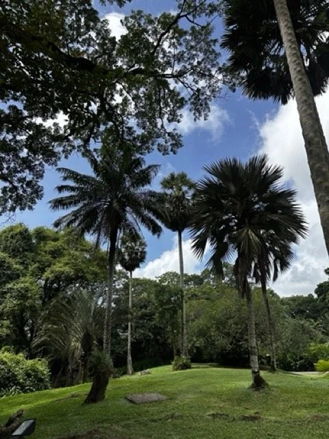 Botanical-Gardens-Lush-Trees.jpeg
