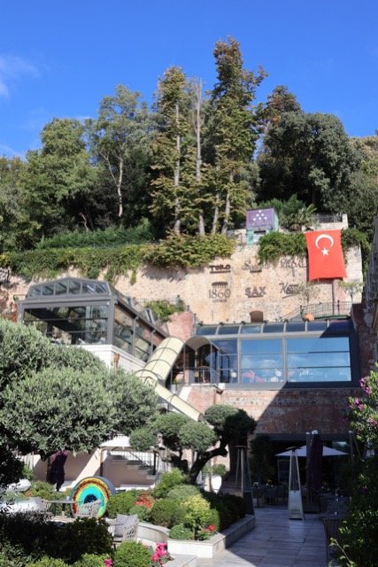 IMG_5139 Medium.jpeg