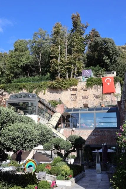 IMG_5139 Medium.jpeg