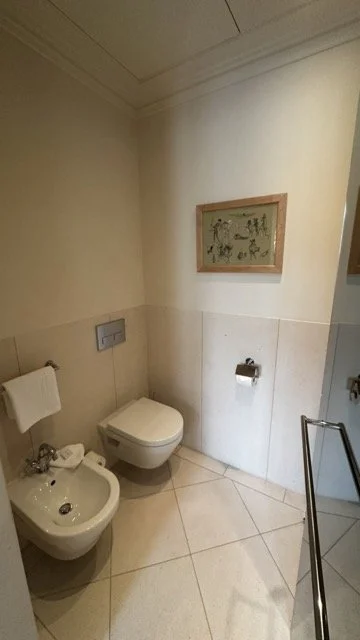 brenners-park-bathroom-bidet-design.jpeg