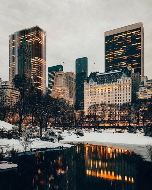 central-park-plaza-hotel-snow-reflection.jpeg