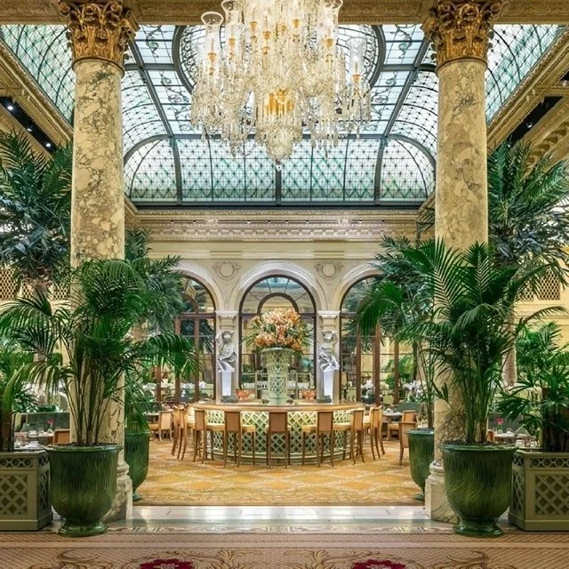 plaza-hotel-stunning-palm-court.jpeg