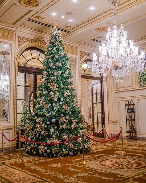 holiday-season-at-the-plaza-hotel.jpeg