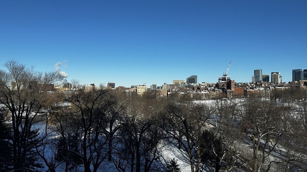 boston-public-garden-snowy-skyline-morning..jpeg