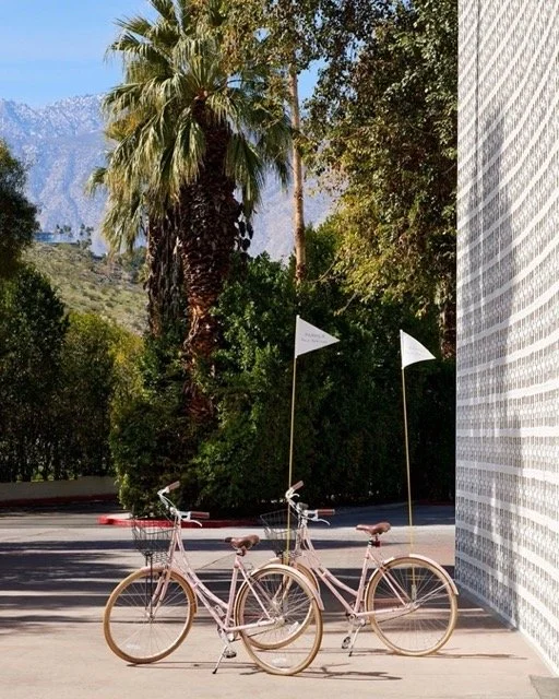 parker-palm-springs-pink-bikes-mountain-backdrop.jpeg