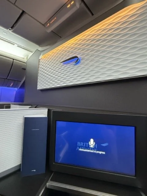 british-airways-cabin-panel-logo-ambient-lighting.jpeg