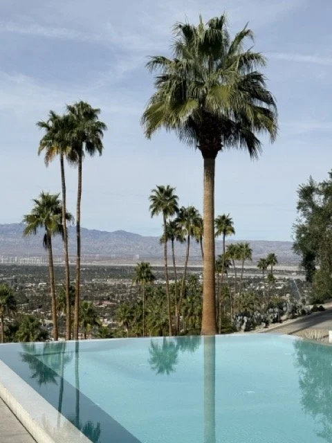 nfinity-pool-view-palm-springs.jpeg