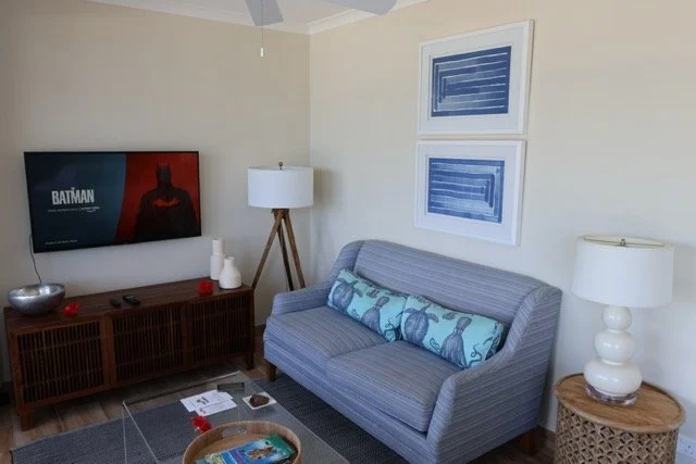 mount-cinnamon-suite-living-area-tv-batman.jpeg