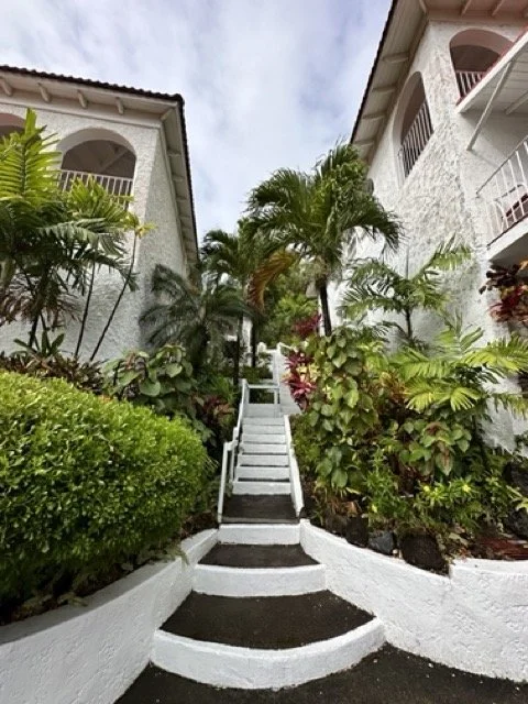 mount-cinnamon-garden-pathway-steps-between-villas.jpeg