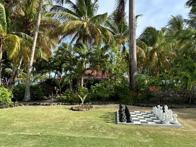 mount-cinnamon-giant-chess-lawn-tropical-garden.jpeg