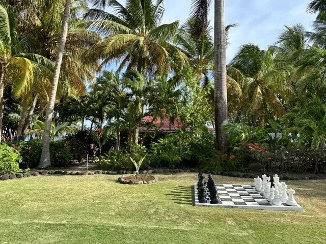 mount-cinnamon-giant-chess-lawn-tropical-garden.jpeg