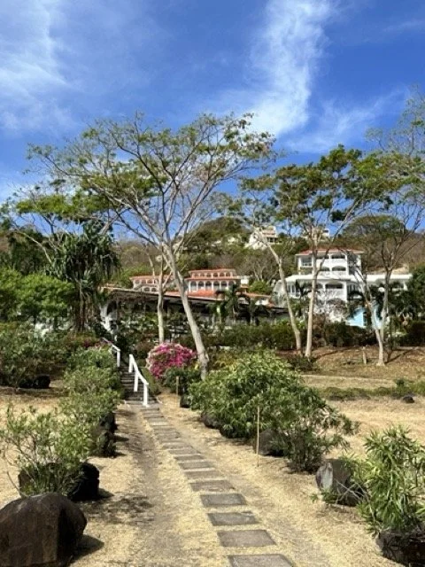 mount-cinnamon-pathway-through-gardens-to-villas.jpeg