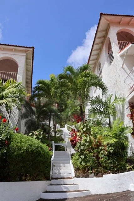 mount-cinnamon-villa-steps-tropical-garden-path.jpeg