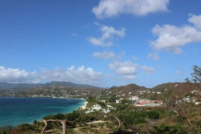 mount-cinnamon-view-of-grand-anse-bay-from-hilltop.jpeg
