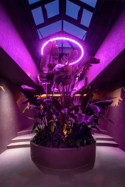 Tranquillity Room 05 - @interiorphotographermaciek.jpeg