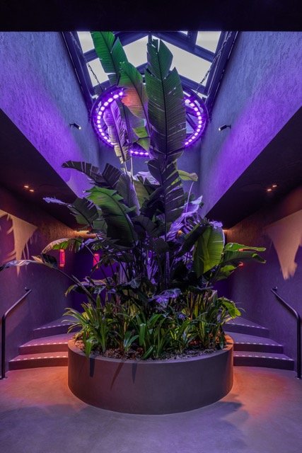 Tranquillity Room 01 - @jonathanbondphotography.jpeg