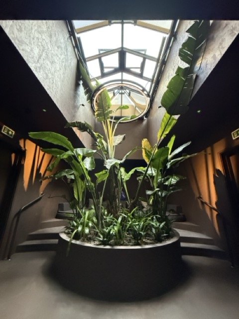 the-mandrake-hotel-damu-spa-tropical-courtyard-london.jpeg