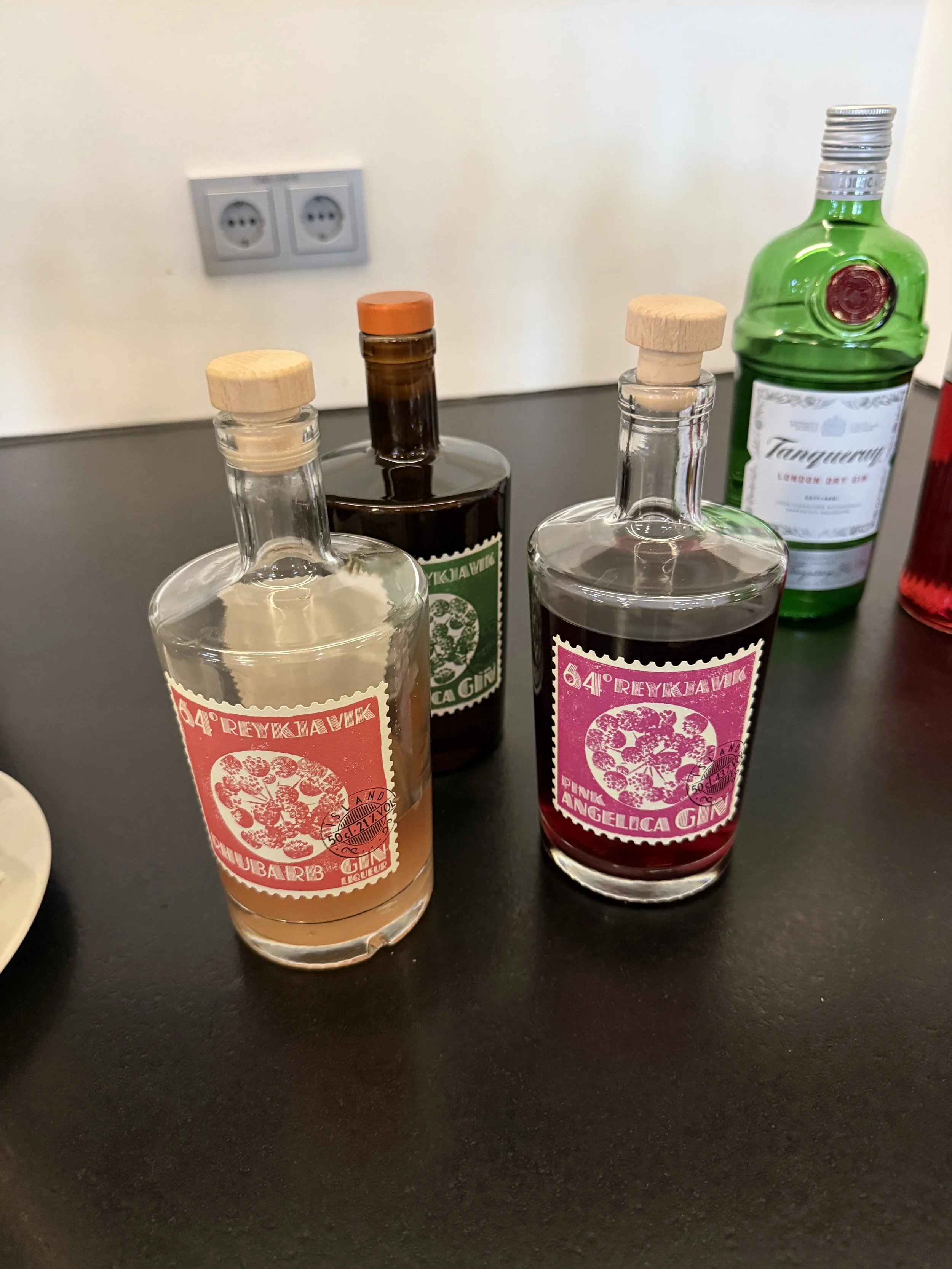 icelandair-saga-lounge-icelandic-gin-selection.JPG
