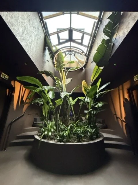 the-mandrake-hotel-damu-spa-tropical-courtyard-london.jpeg