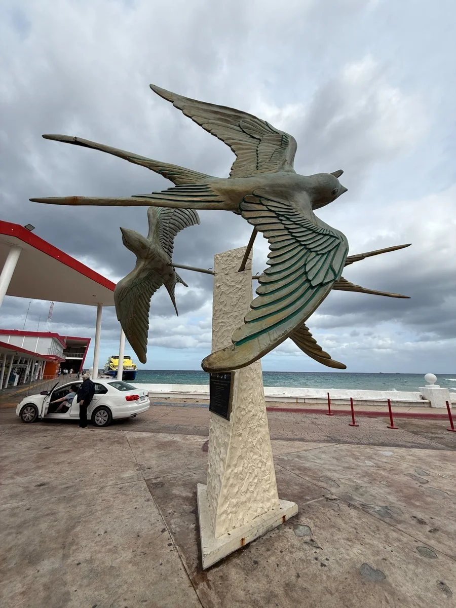 cozumel-seafront-bird-sculpture.jpg