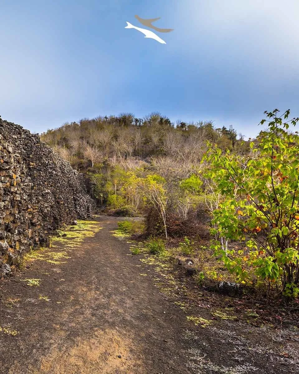 galapagos-hiking-trail-volcanic-landscape.jpeg