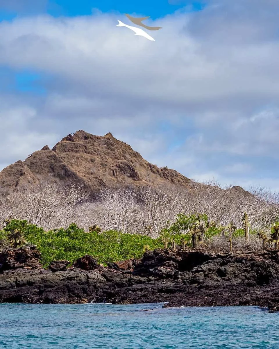 galapagos-volcanic-island-coastline.jpeg