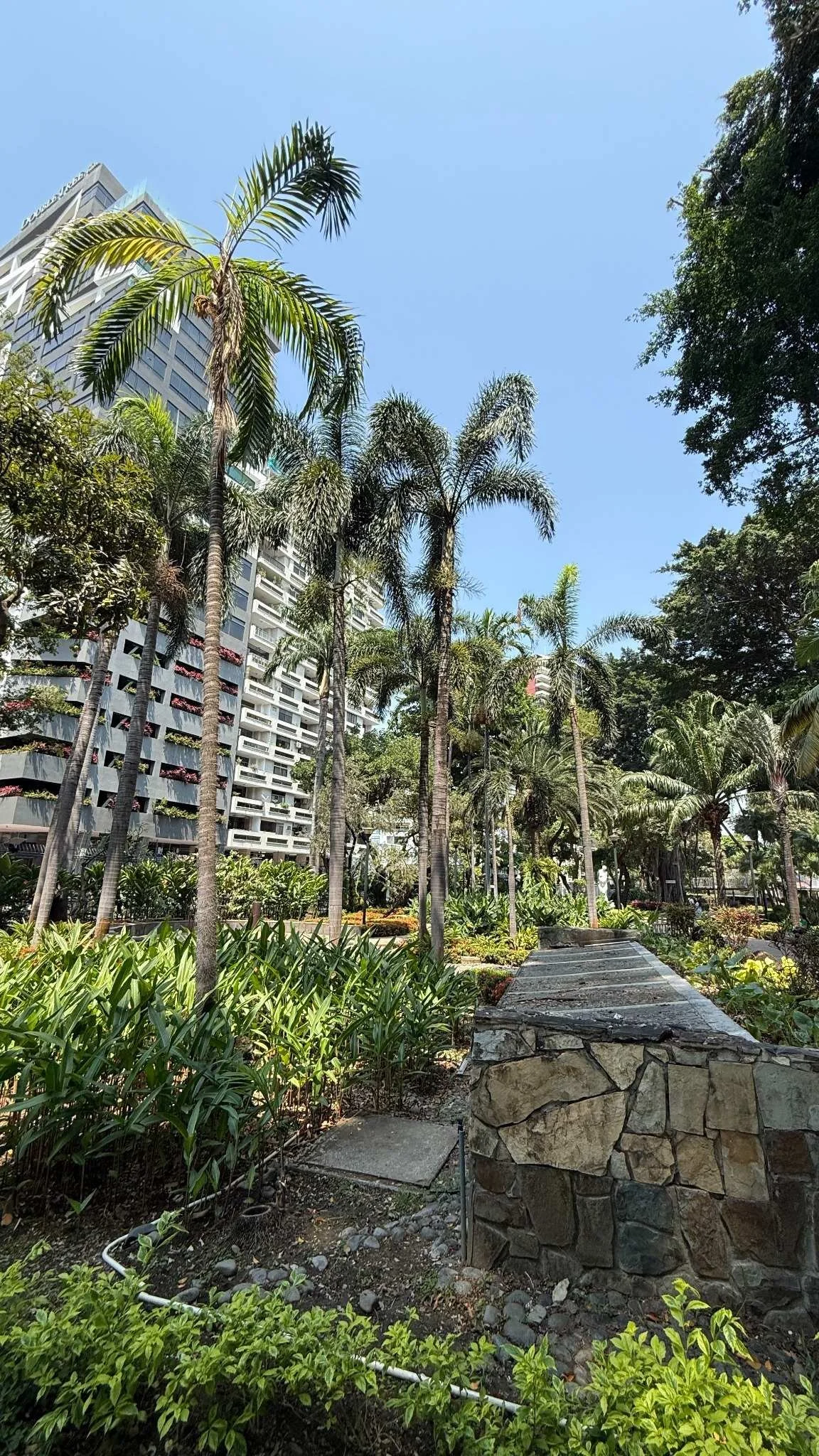 guayaquil-urban-park-palm-gardens.jpg