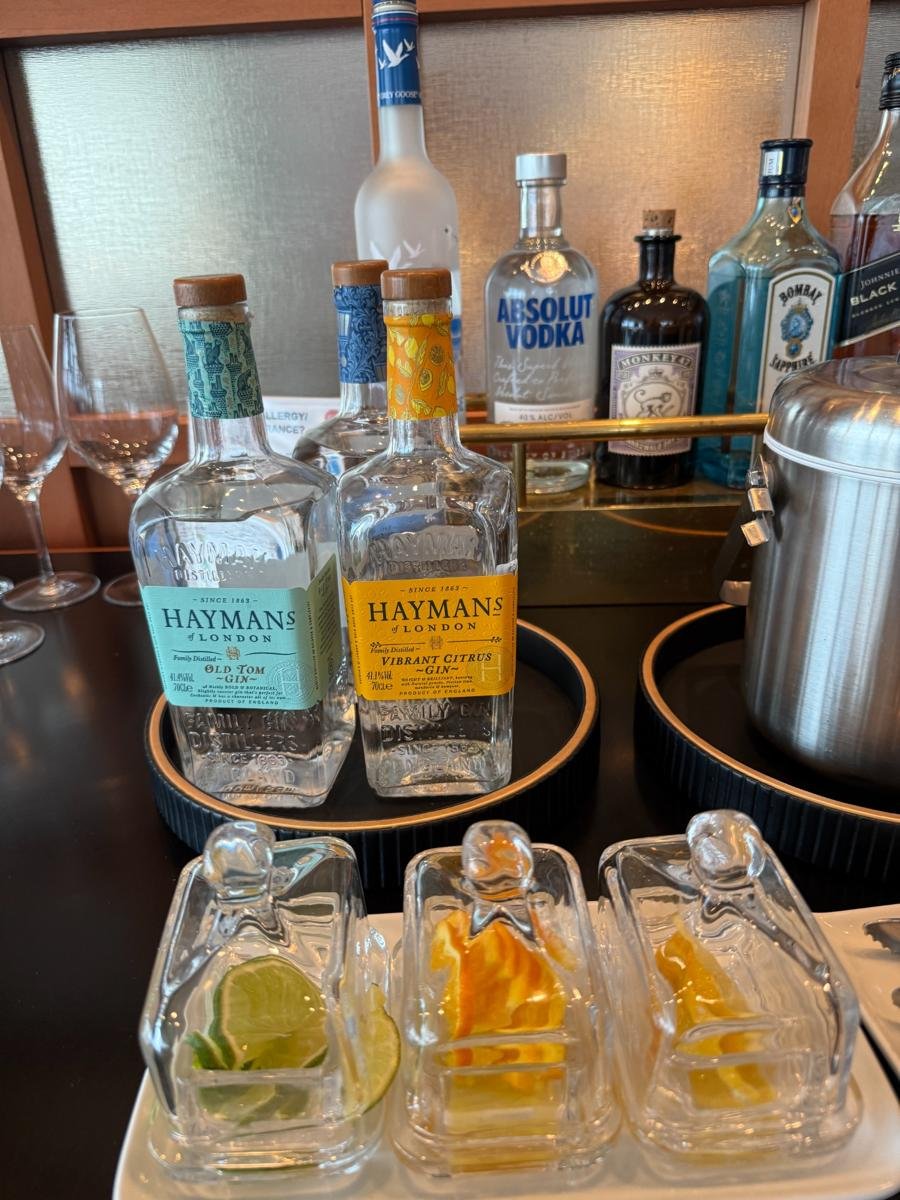 first-class-lounge-gin-selection-bar.jpg