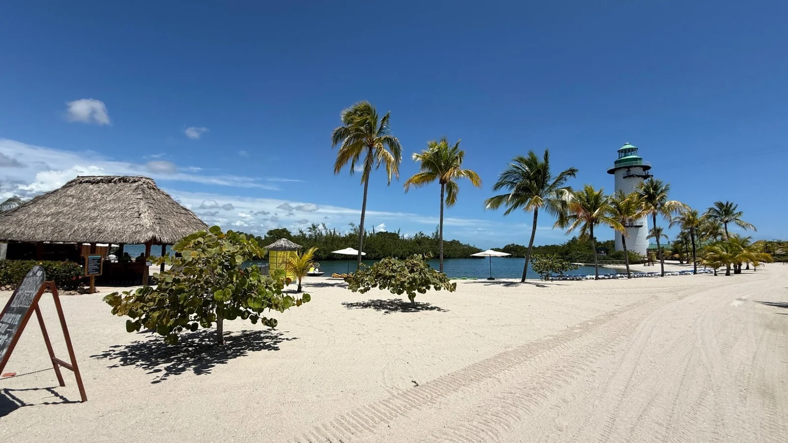Belize beach scene with palm trees, white sand and a lighthouse overlooking calm Caribbean waters