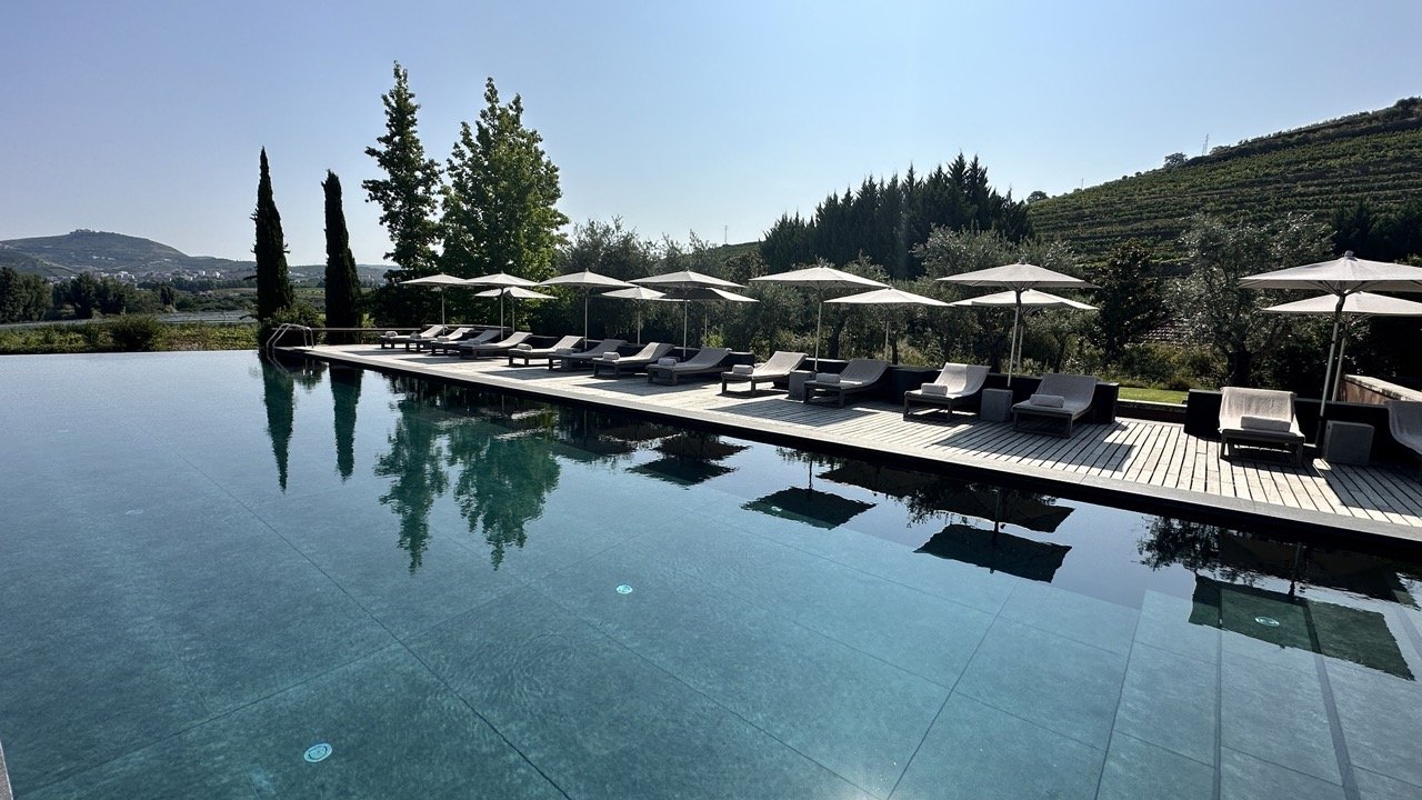 Loungers surrounding the pool with vineyard view behind