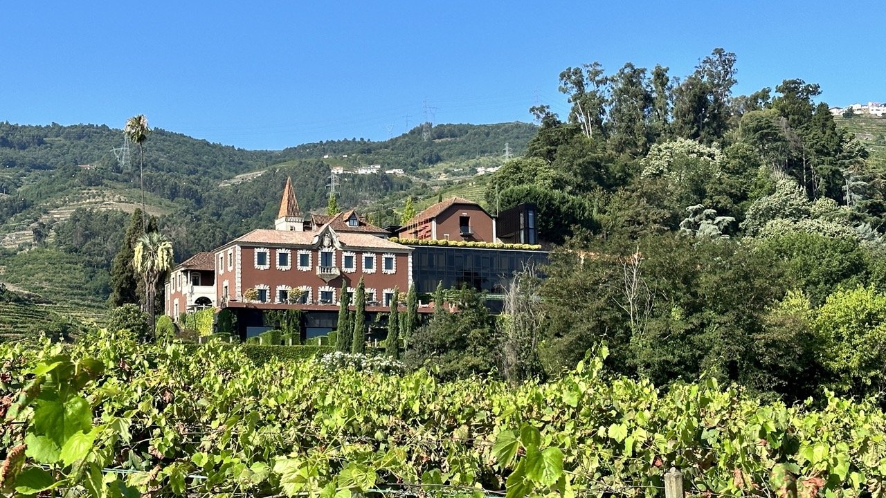Vineyards in foreground with hotel middle and mountains and blue sky to the rear
