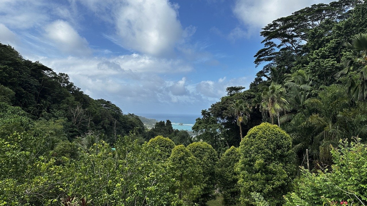 A breathtaking view of the ocean through a lush tropical forest in Seychelles, with vibrant green foliage framing the distant blue waters under a partly cloudy sky.