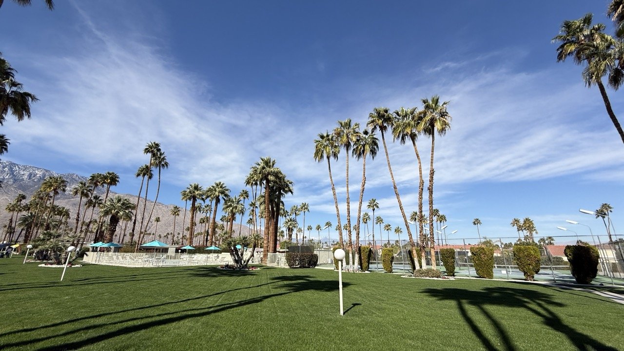 Lush green lawn and palm trees at Coco Cabana in Palm Springs, showcasing its mid-century modern charm with scenic mountain views.