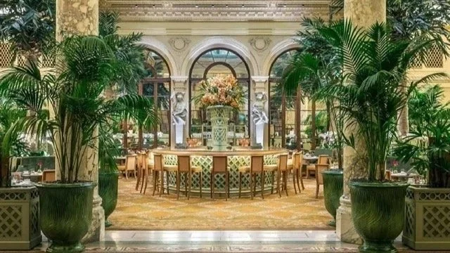 Elegant Palm Court at The Plaza Hotel, NYC — a historic dining space with marble columns, indoor palm trees, and a central bar under a glass ceiling.