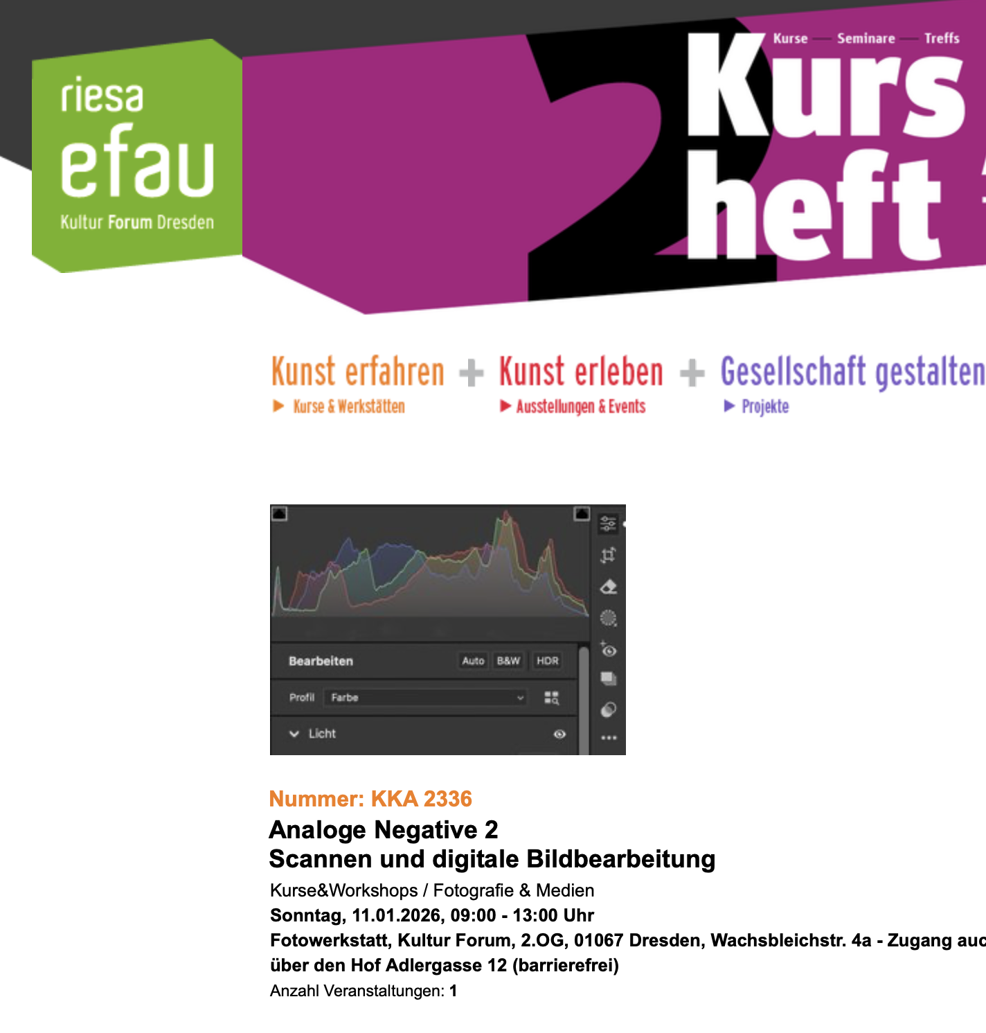 Immer wieder spannend, was Teilnehmer:innen mitbringen!