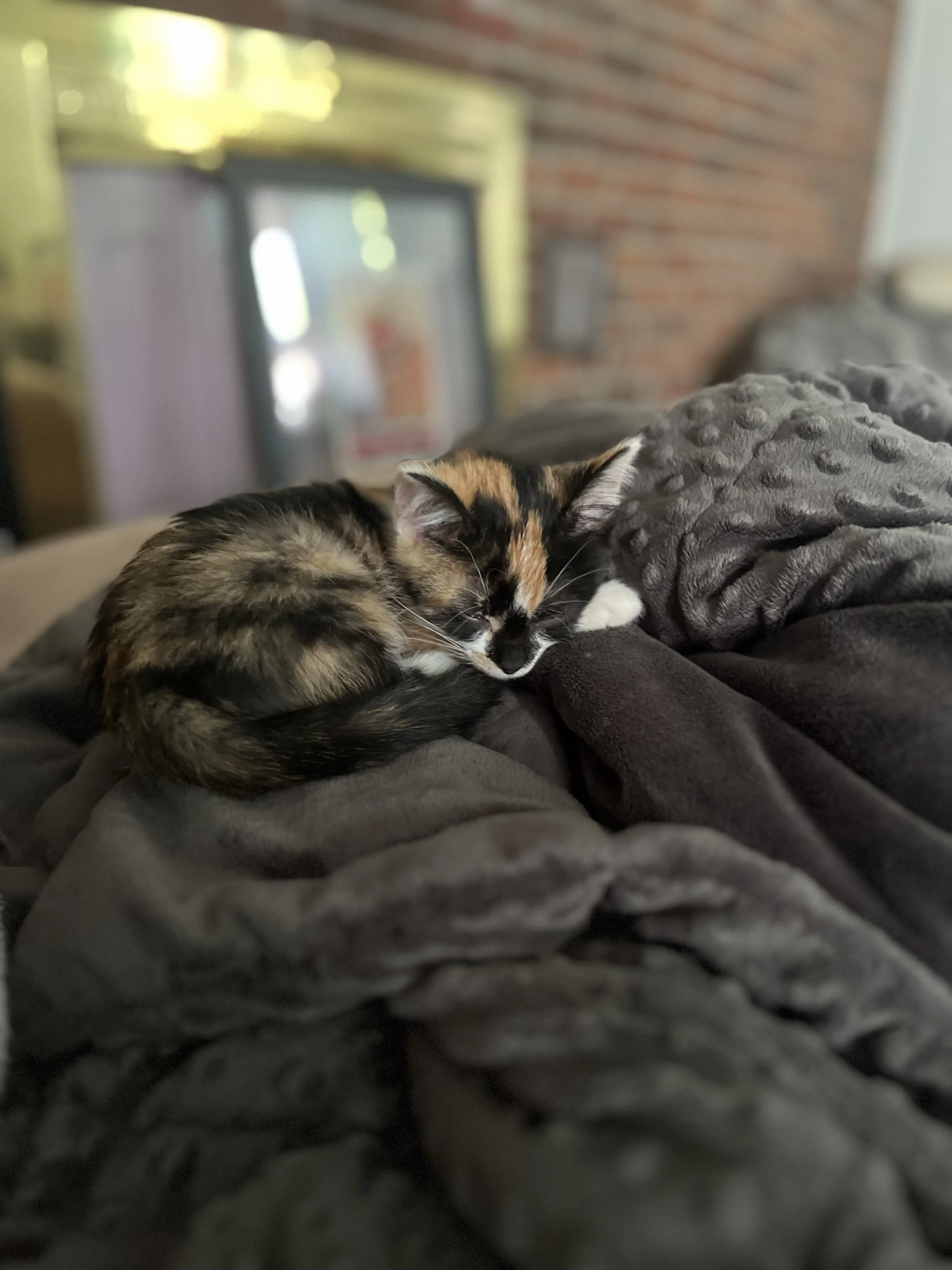 IMG_6605.jpeg