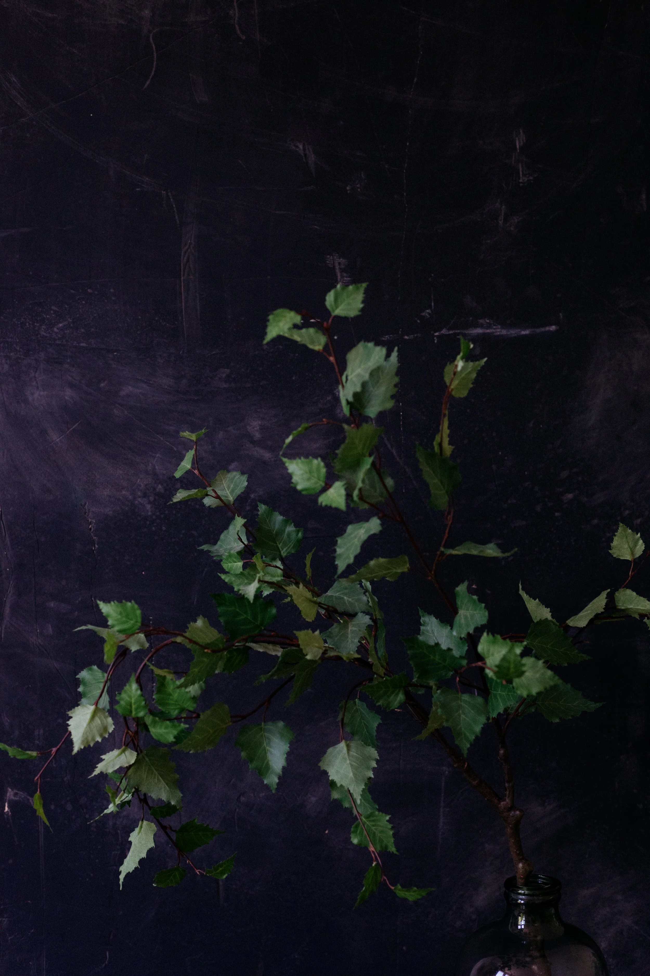 birch faux stem-0164.jpg