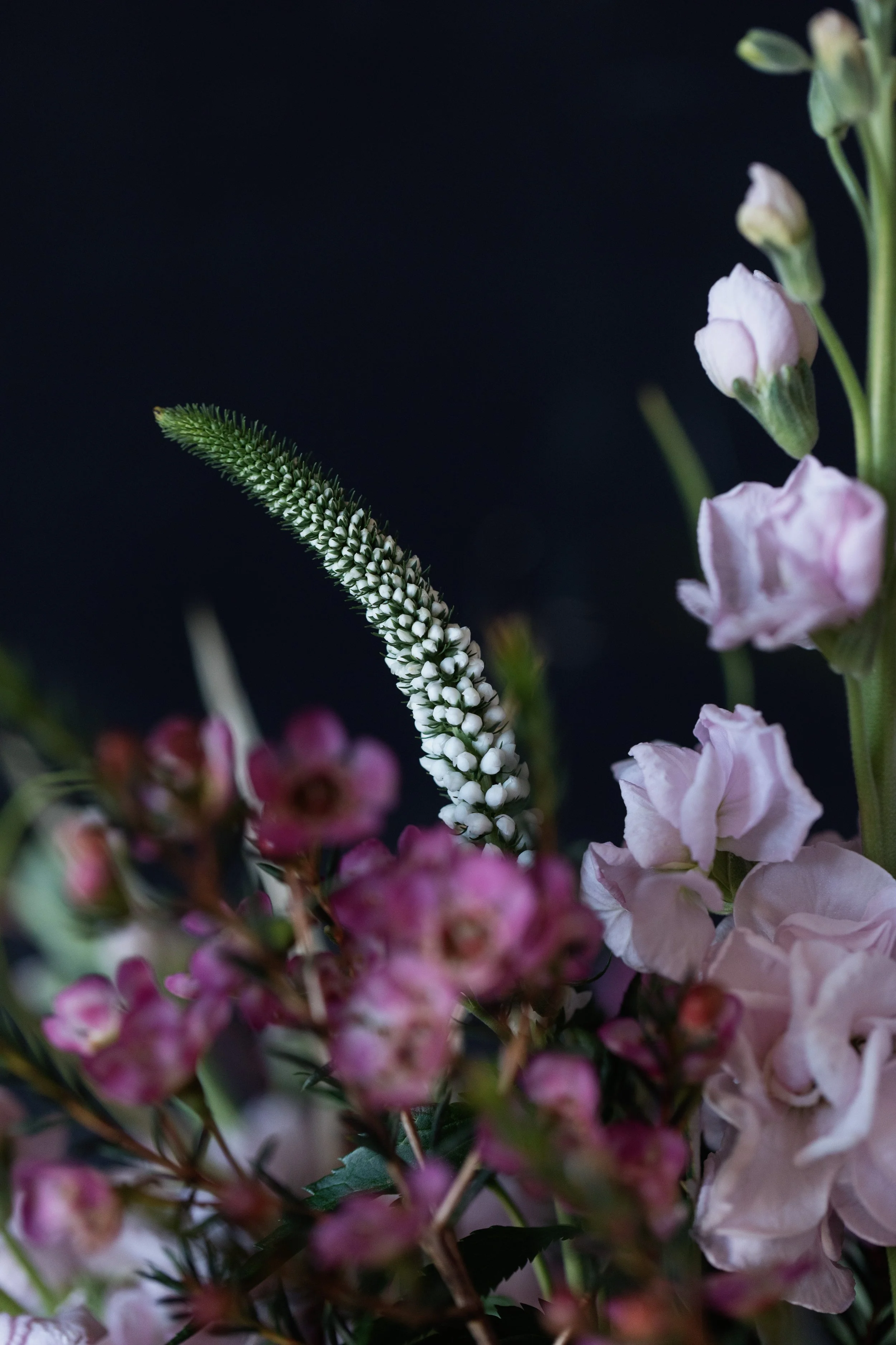 florist gift bouquet blackheath london free delivery mother's day -2859.jpg