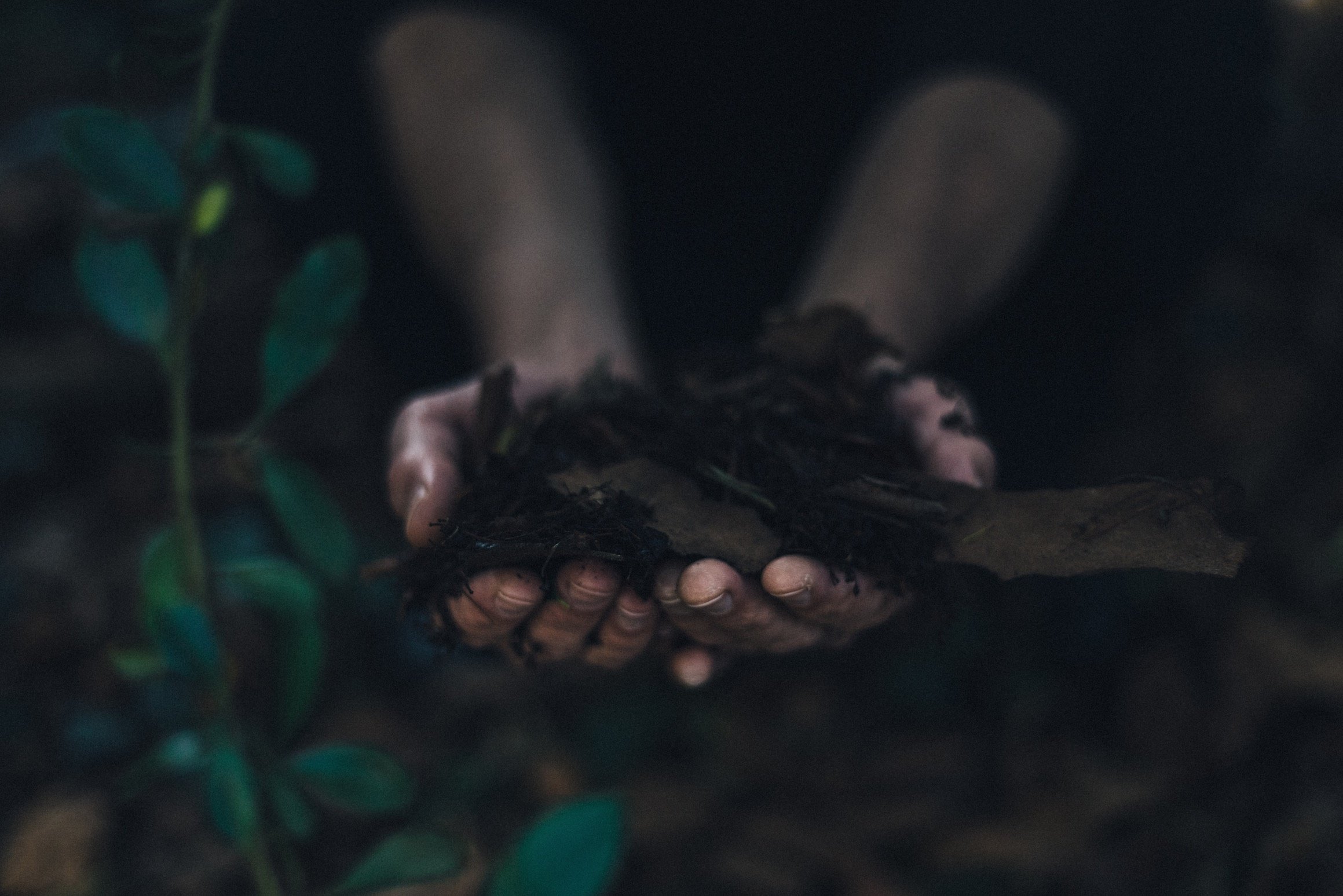 Ancient energy pics CICELY low res.jpg