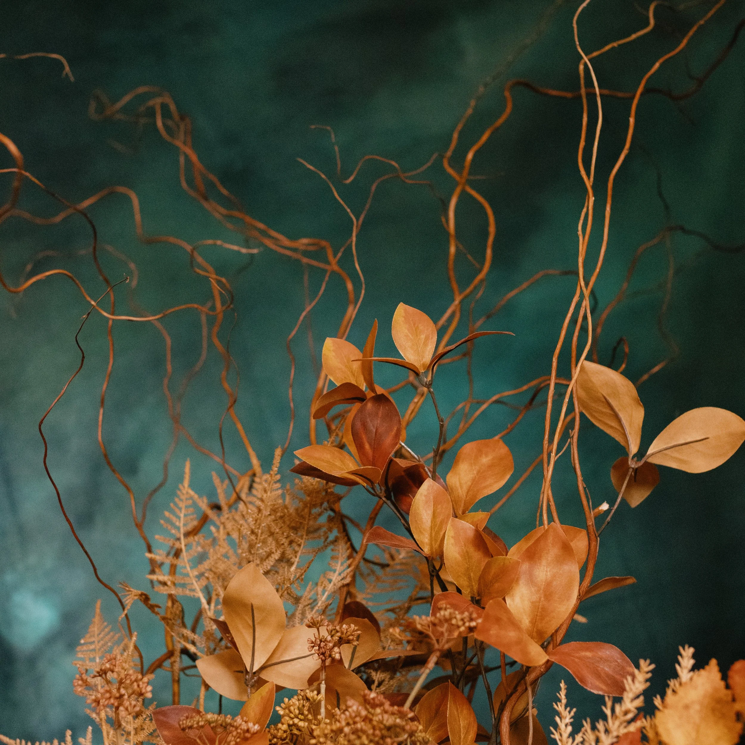 autumn detail-7270.jpg