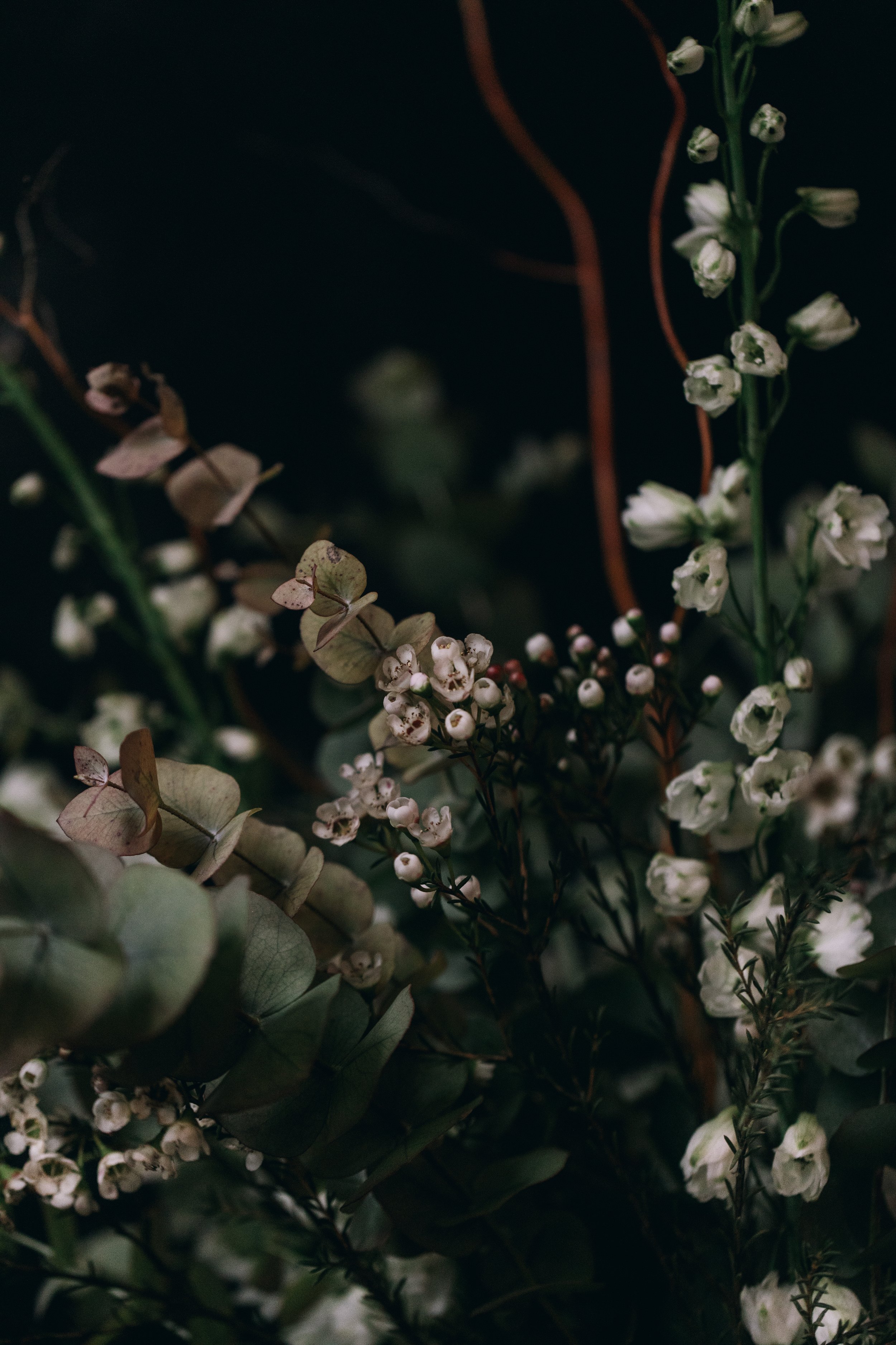 Look book cicely weejly flower subscription blackheath-0726.jpg