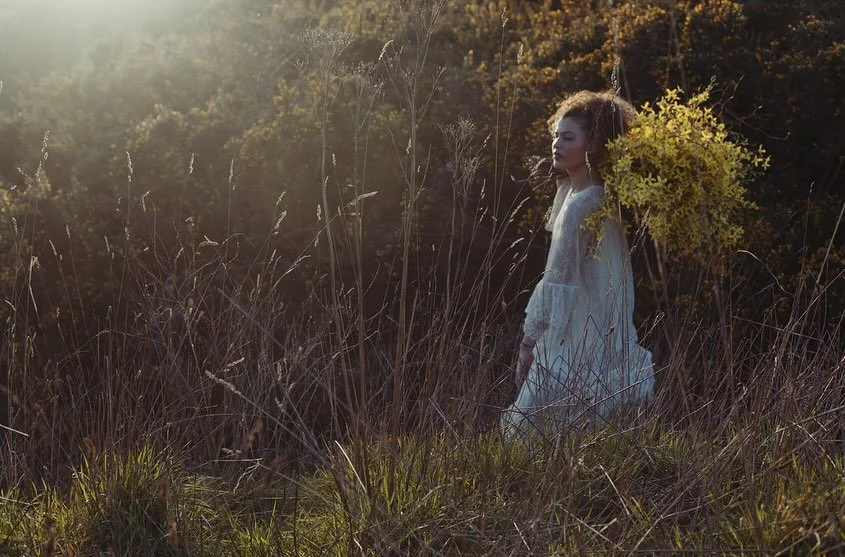 Yellow flowers such as marigolds and golden yarrow carry radiant energy&mdash;embodying joy, resilience, and vitality. Their presence in a space fosters a sense of hope and inner strength, supporting a more confident and empowered outlook on life. #c
