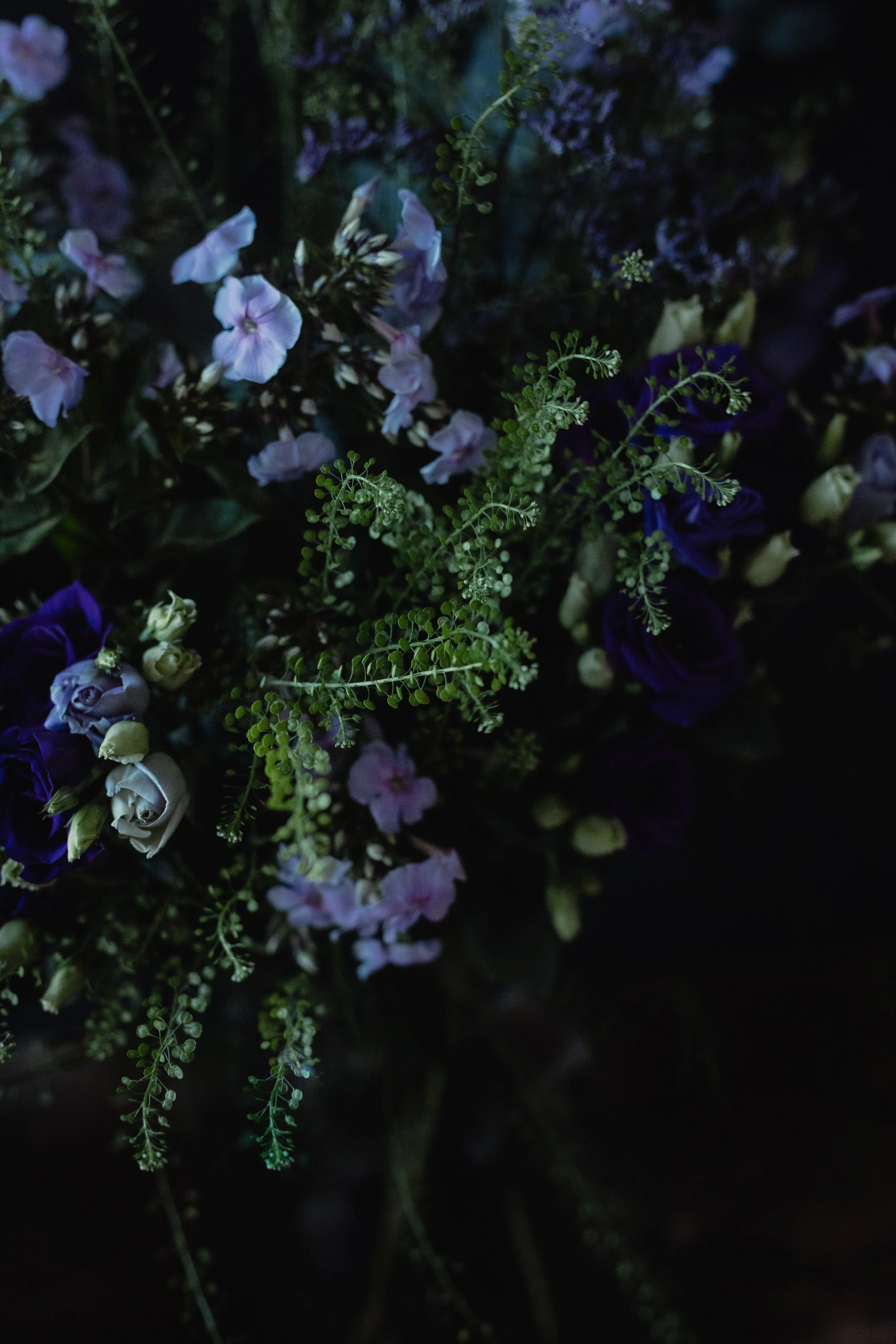 cicely look book fresh flower blackheath subscription-0667.jpg