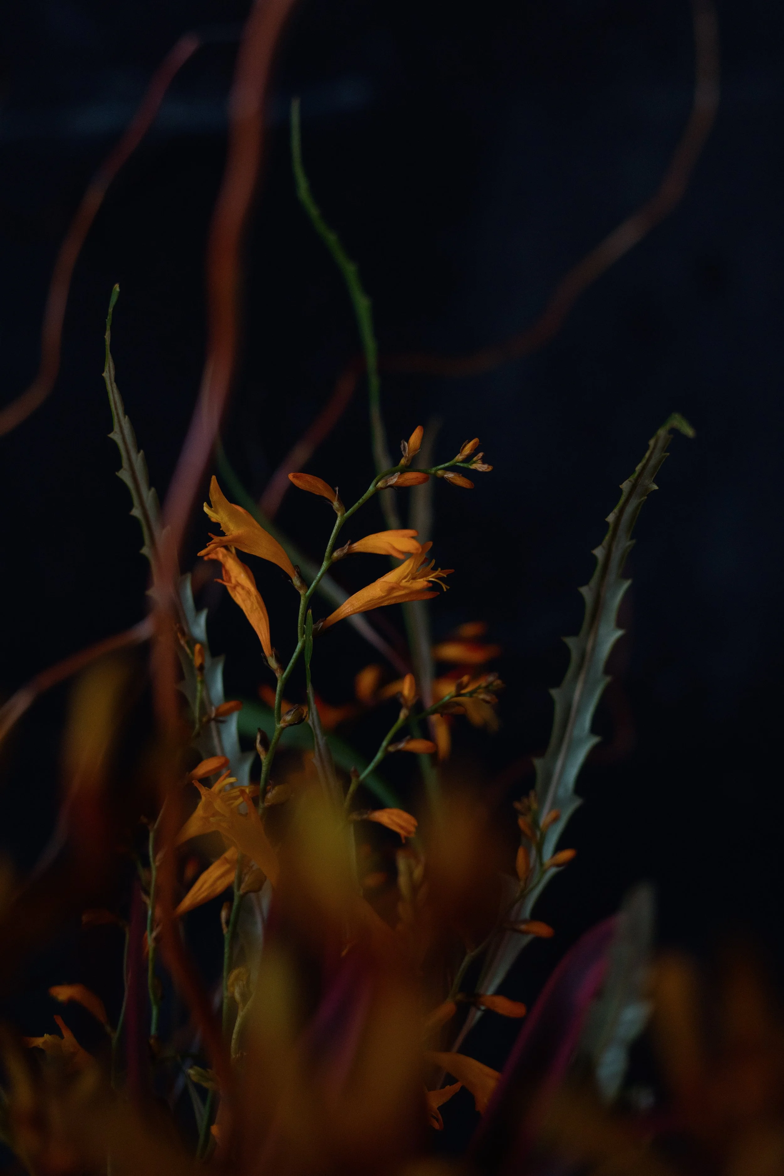 fresh flower subscription london greenwich-0533.jpg