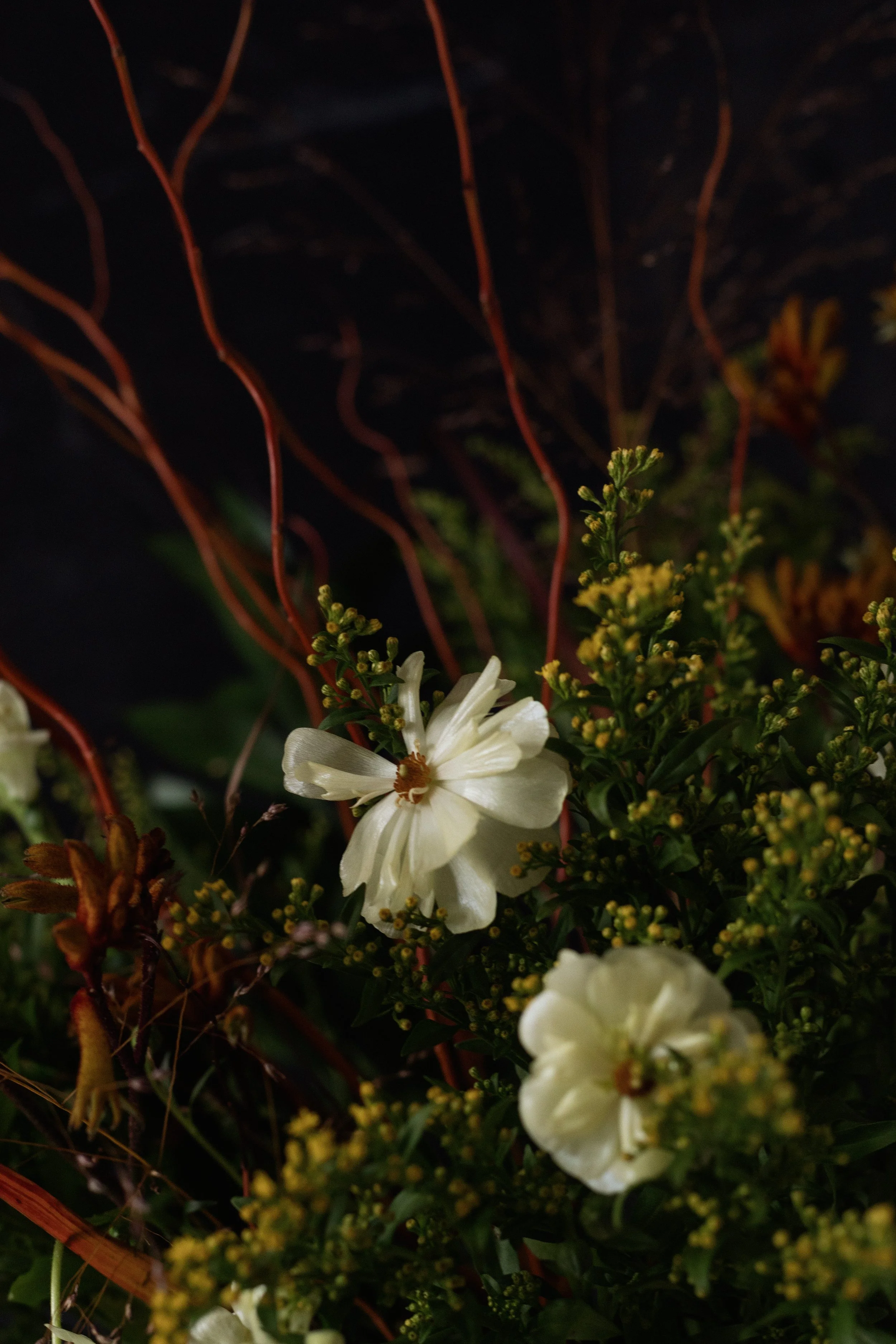 subscription -0402.jpg