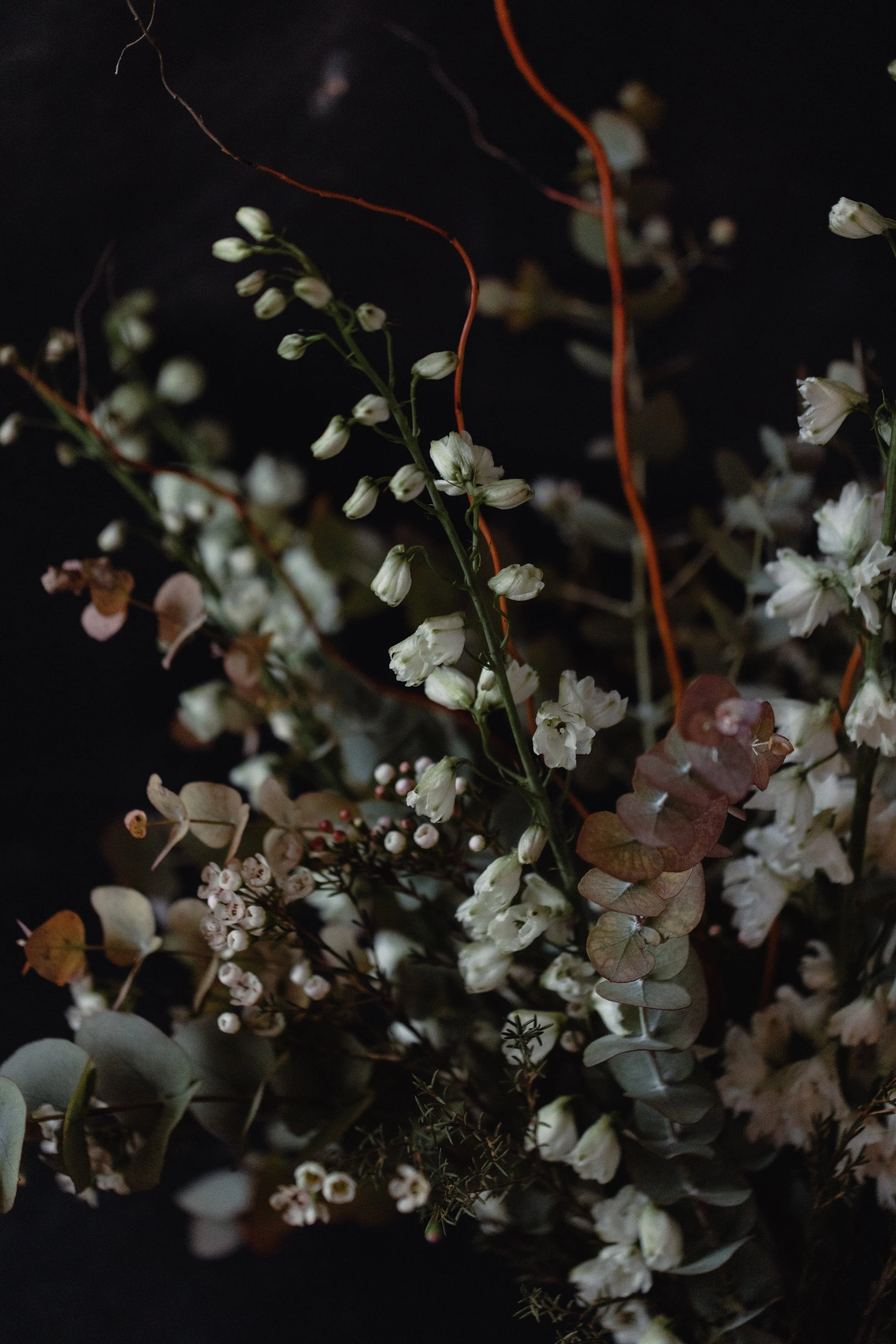 Look book cicely weekly flower subscription blackheath-0738.jpg