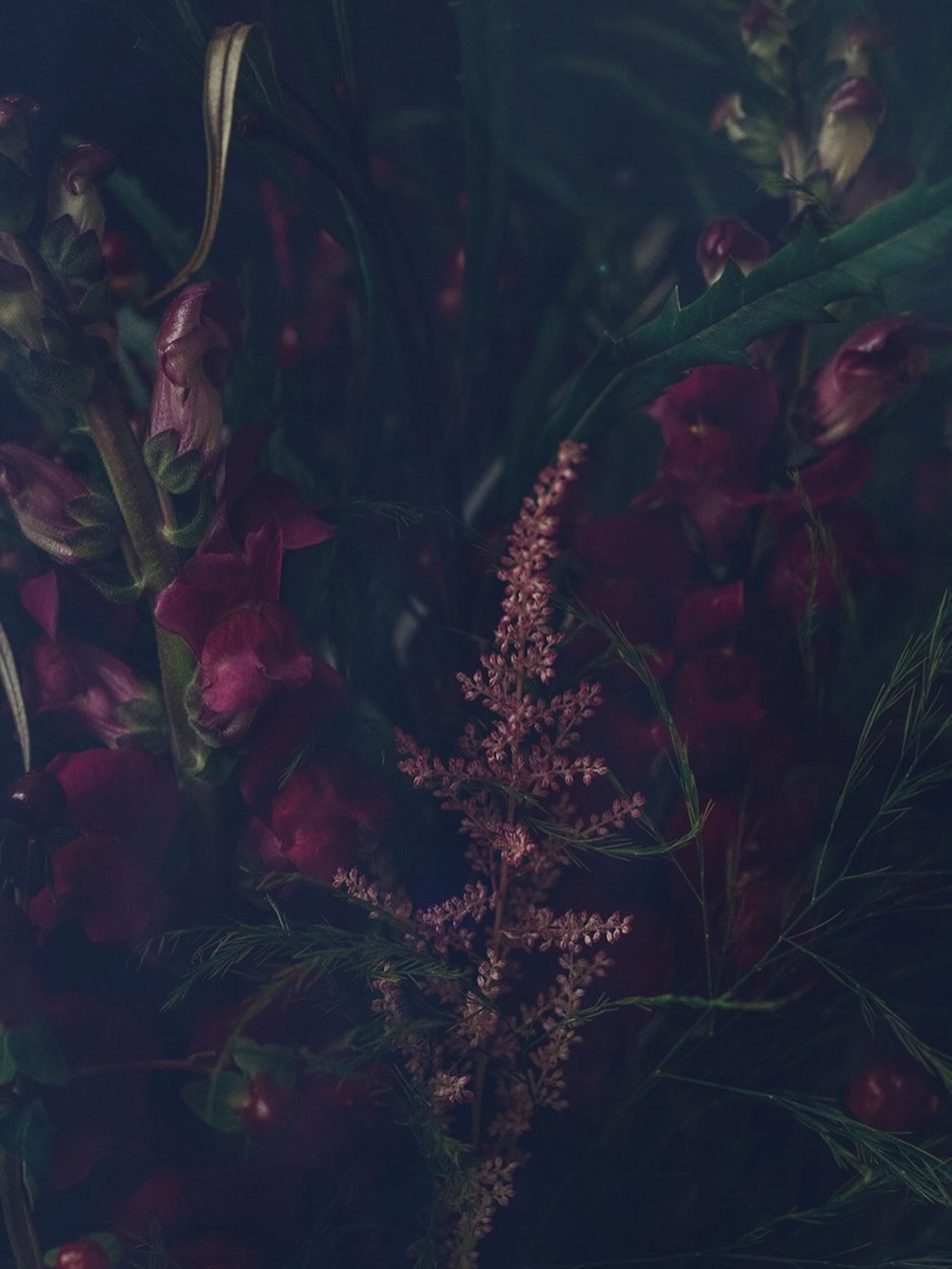 Solstice has passed, yet the invitation remains to slow down. To rest inside the dark before the light gathers pace again.

It certainly feels like time is speeding up, that our days folding in on themselves, and the world is asking us to move faster