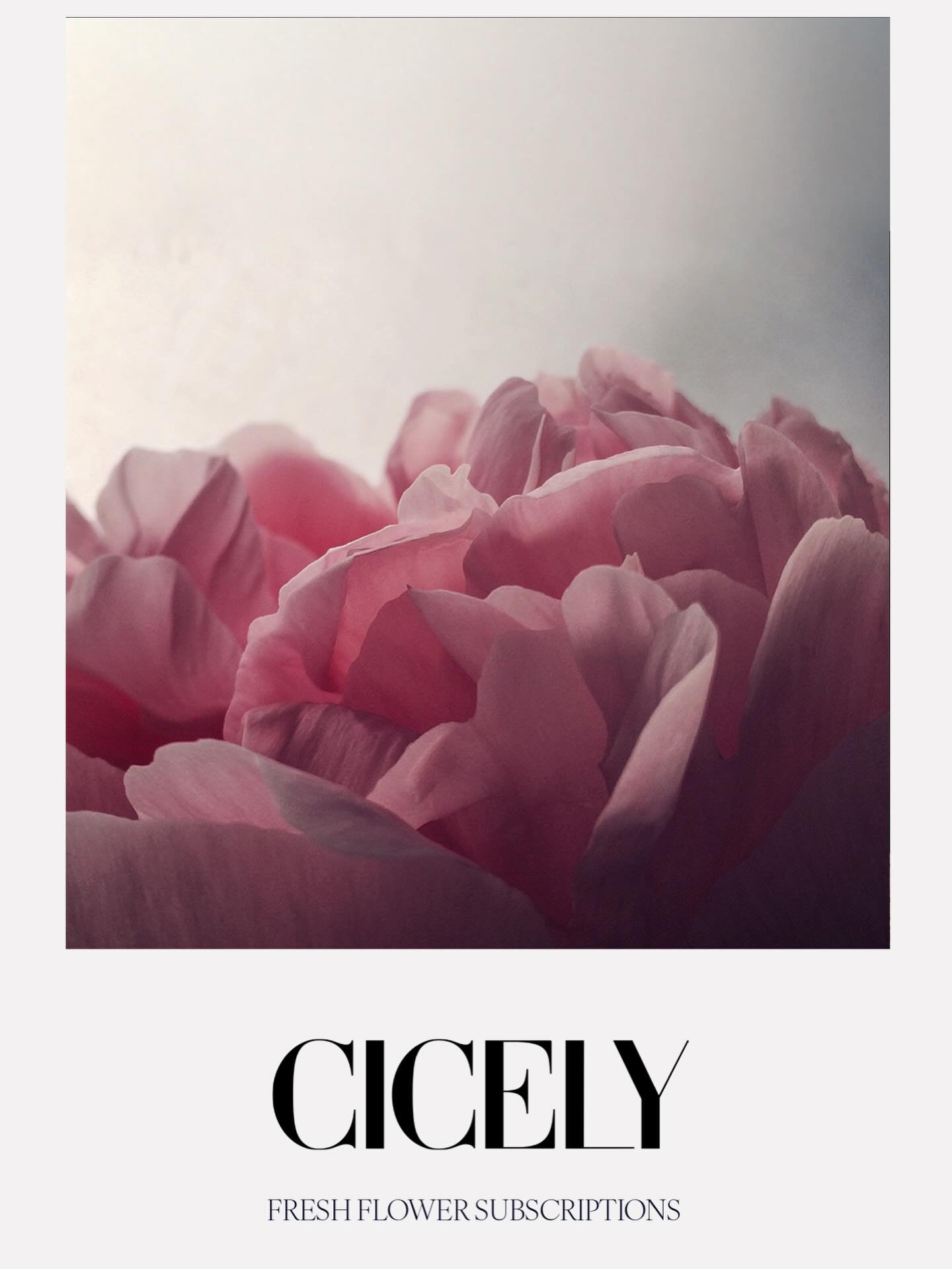 The abundance of enoughness at @cicelystudio and thoughts on colour and the new year ahead.

Soft dusky pink is a colour that reminds us the world is not a fixed store of limited resources, but a living, moral organism &mdash; one that responds to ho