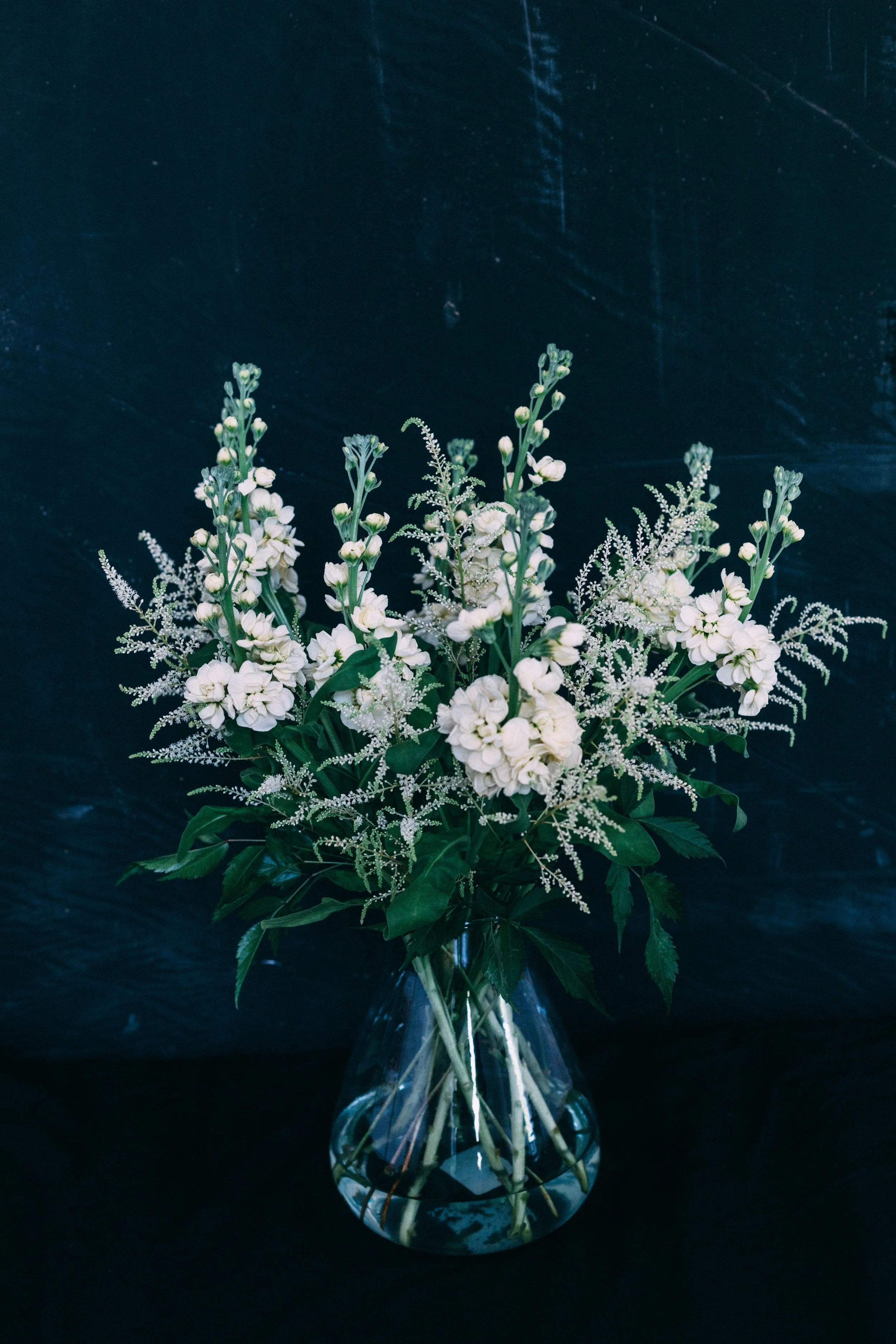 cicely fresh flower subsription blackheath stocks-9850.jpg