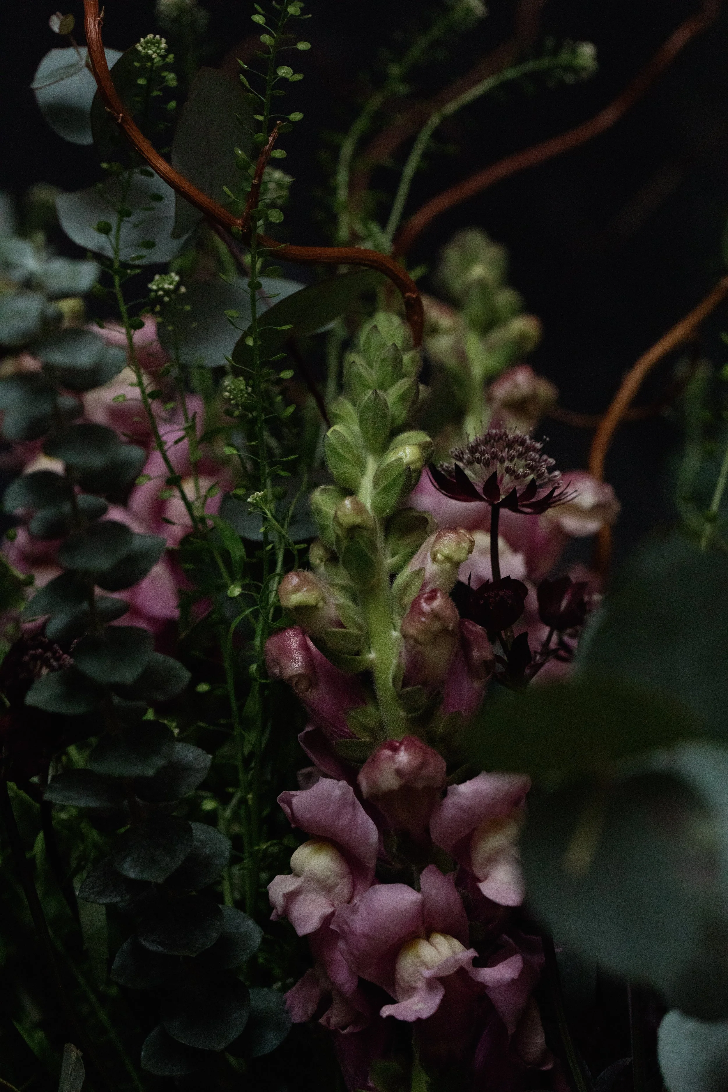 fresh flower subscription jan 25 cicely look book -2205.jpg